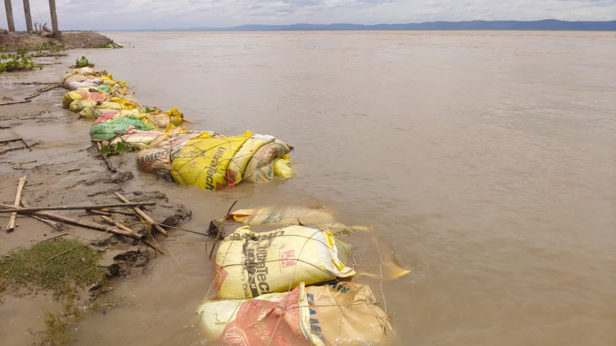 Sandbags meant to prevent erosion flot on the water.