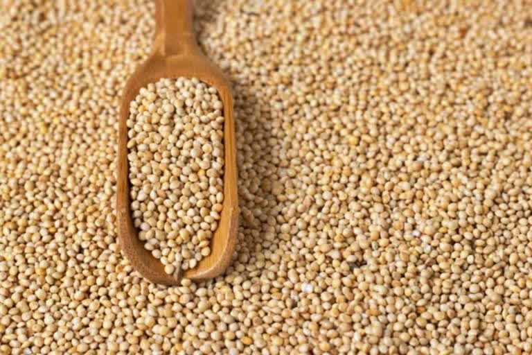 Millets: India eyes $2 billion export opportunity India is looking forward to tapping a $2 billion export opportunity by promoting millets – Ragi, Jowar and Bajra – and millet-based products, dubbed as a healthy and environment-friendly alternative to water-guzzling wheat and rice.