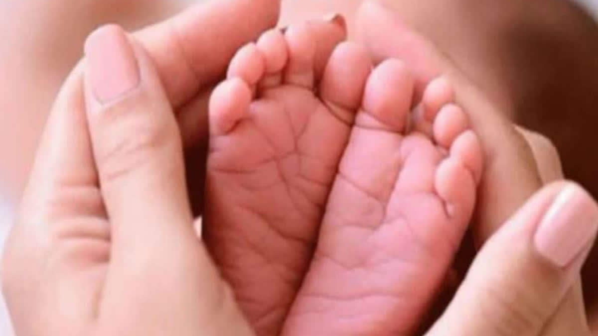 woman gave birth to her 17th child in Jhardol