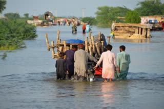 پاکستان میں کرتارپور کوریڈور سیلاب میں ڈوب گیا، 100 سے زائد افراد پھنسے