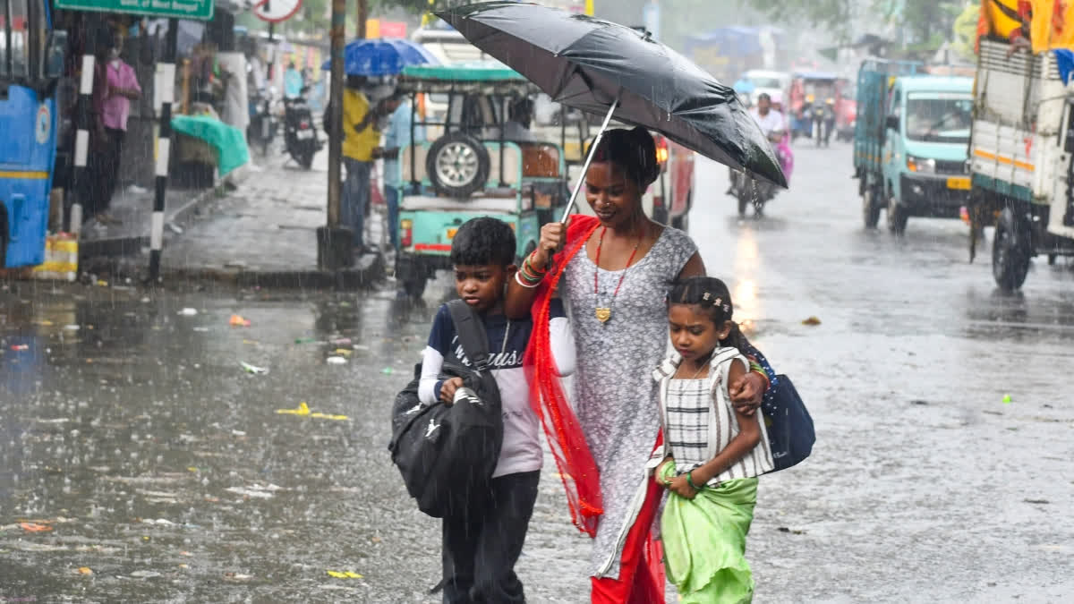 Bengal RAIN