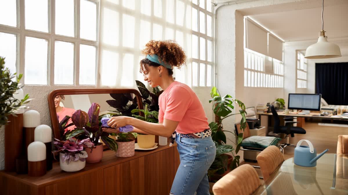 Tips for Indoor Gardening