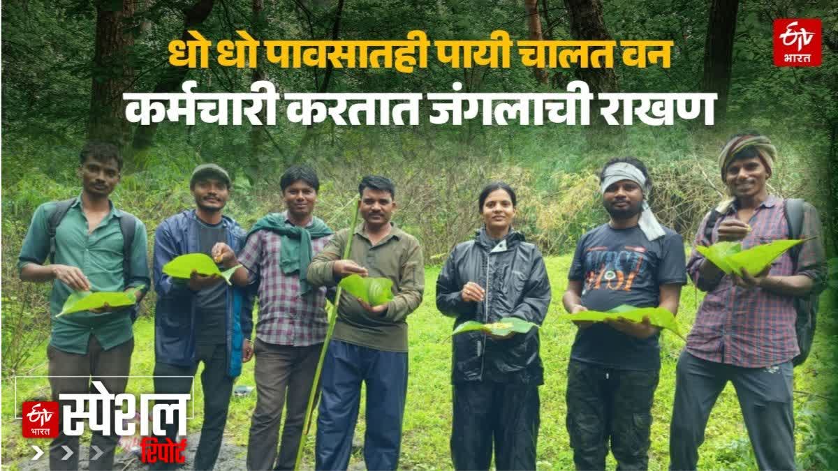 Forest workers protect the forest even in heavy rain