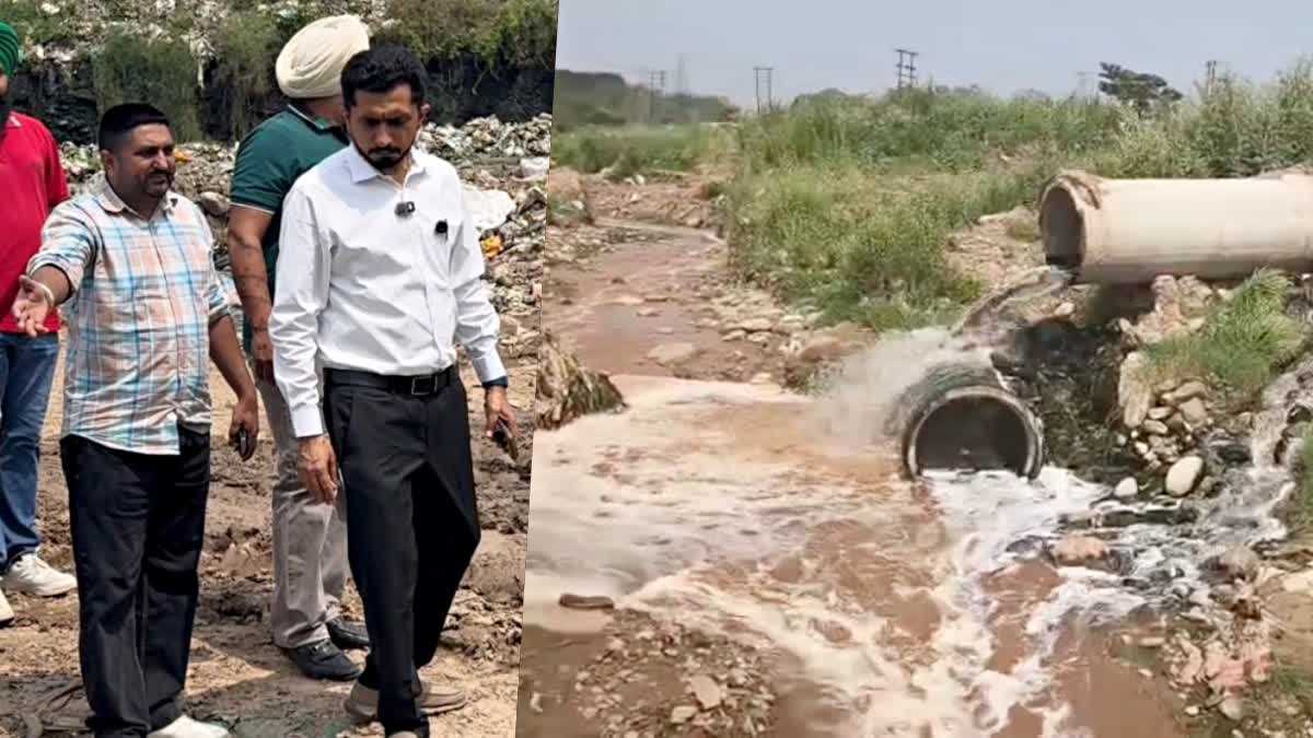 प्लांट का निरीक्षण करने पहुंचे विधायक आशीष चड्ढा