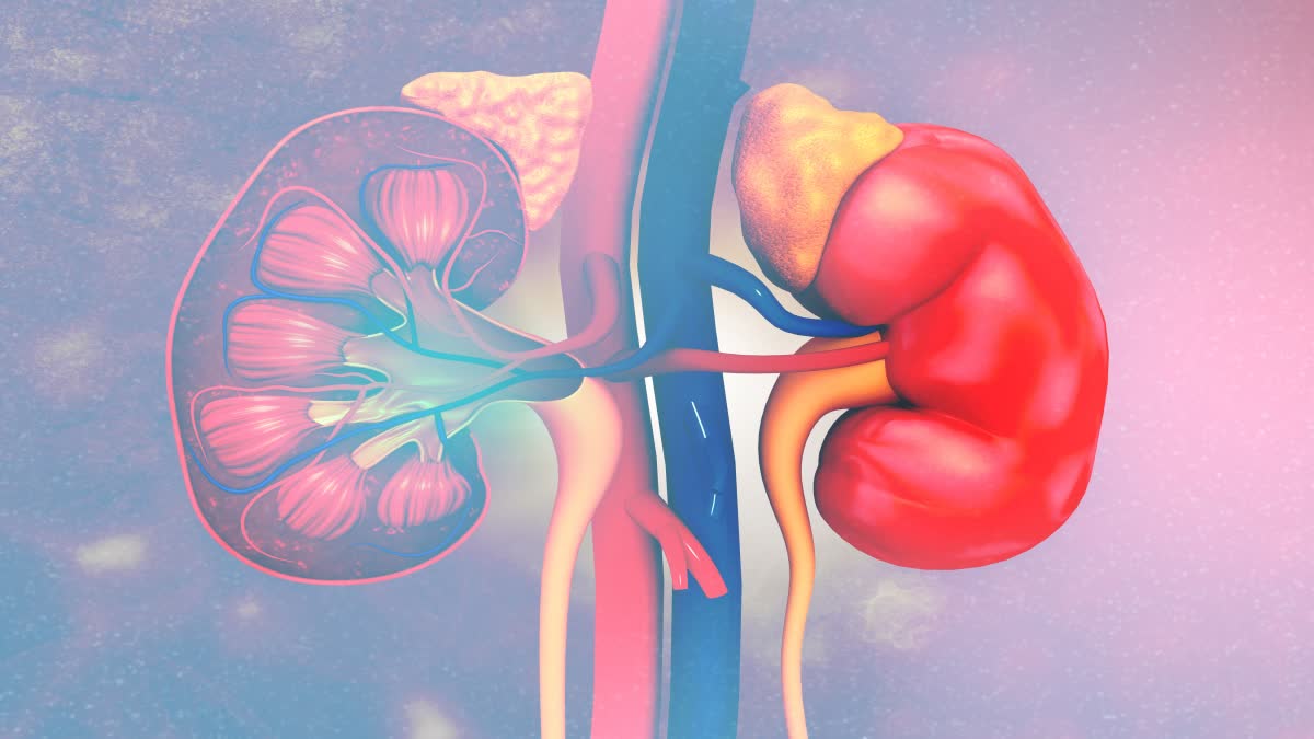 61000 WAIT FOR KIDNEY TRANSPLANTS