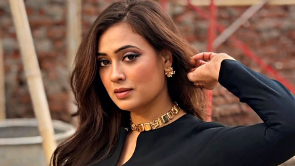 Shweta Tiwari Gets Apology From Online Abuser, Thanks Raj Thackeray's Party For Tracking Him Down In 3 Days