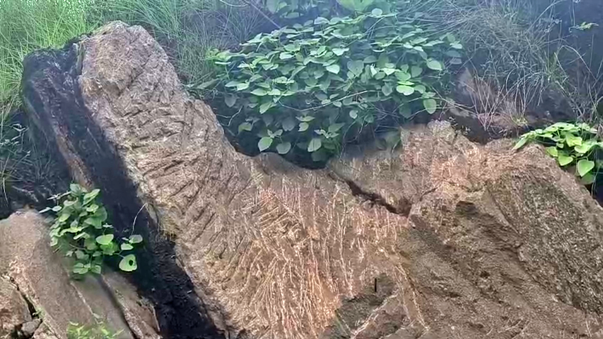 OLDEST LAND IN JHARKHAND