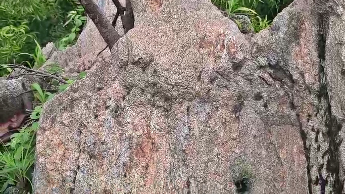 OLDEST LAND IN JHARKHAND