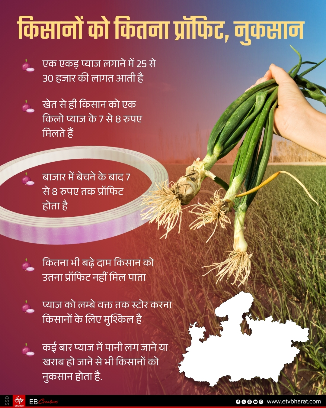 MIDDLEMEN VS FARMERS PROFIT
