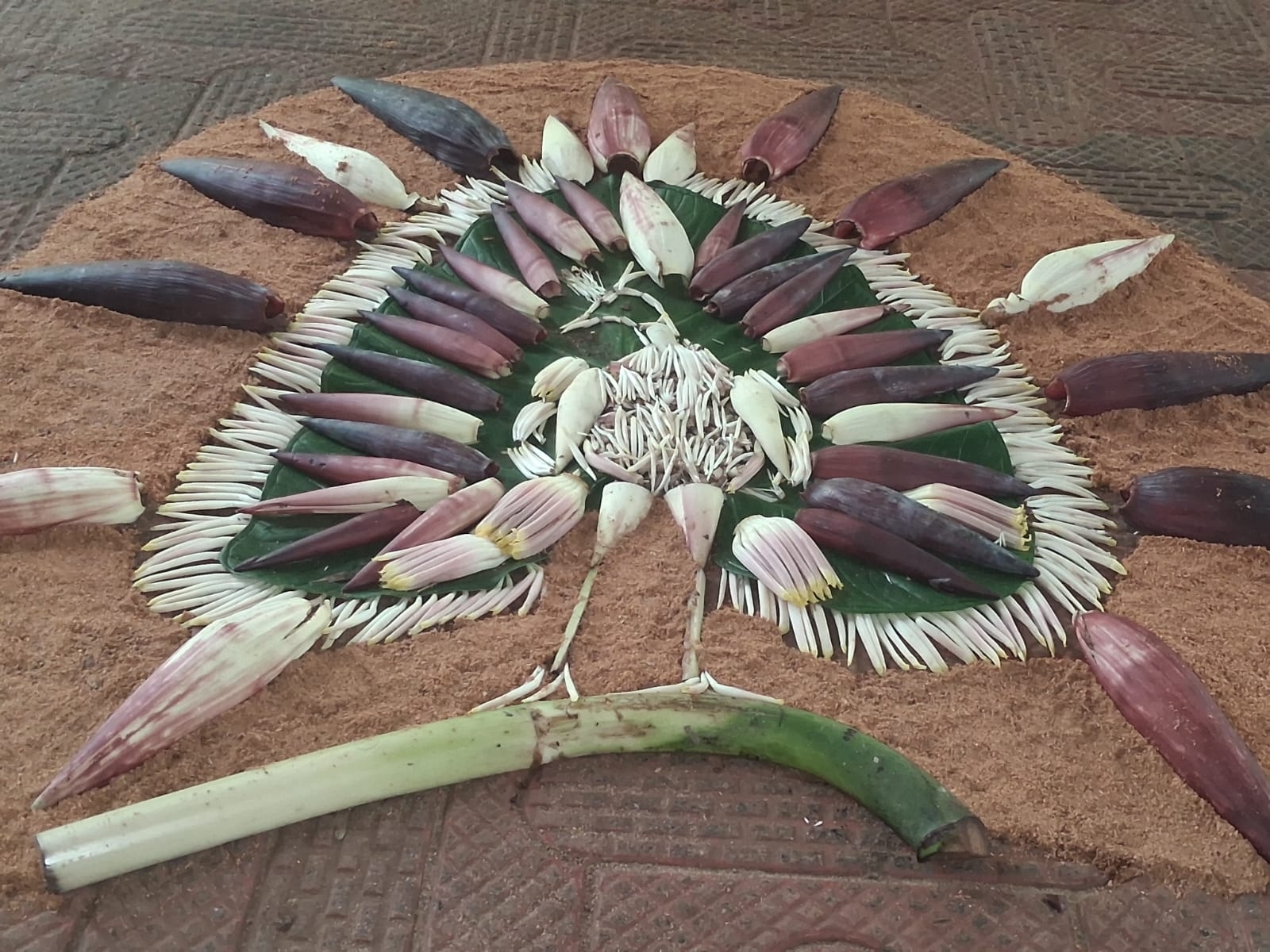 KASARAGOD LOCAL FARMER INNOVATION  UNIQUE BANANA FLOWER POOKKALAM  PV DIVAKARAN KASARAGOD  ZERO COST ONAM FLORAL CARPET