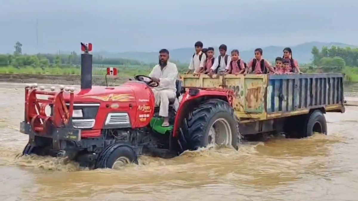 Haryana students studying in Himachal