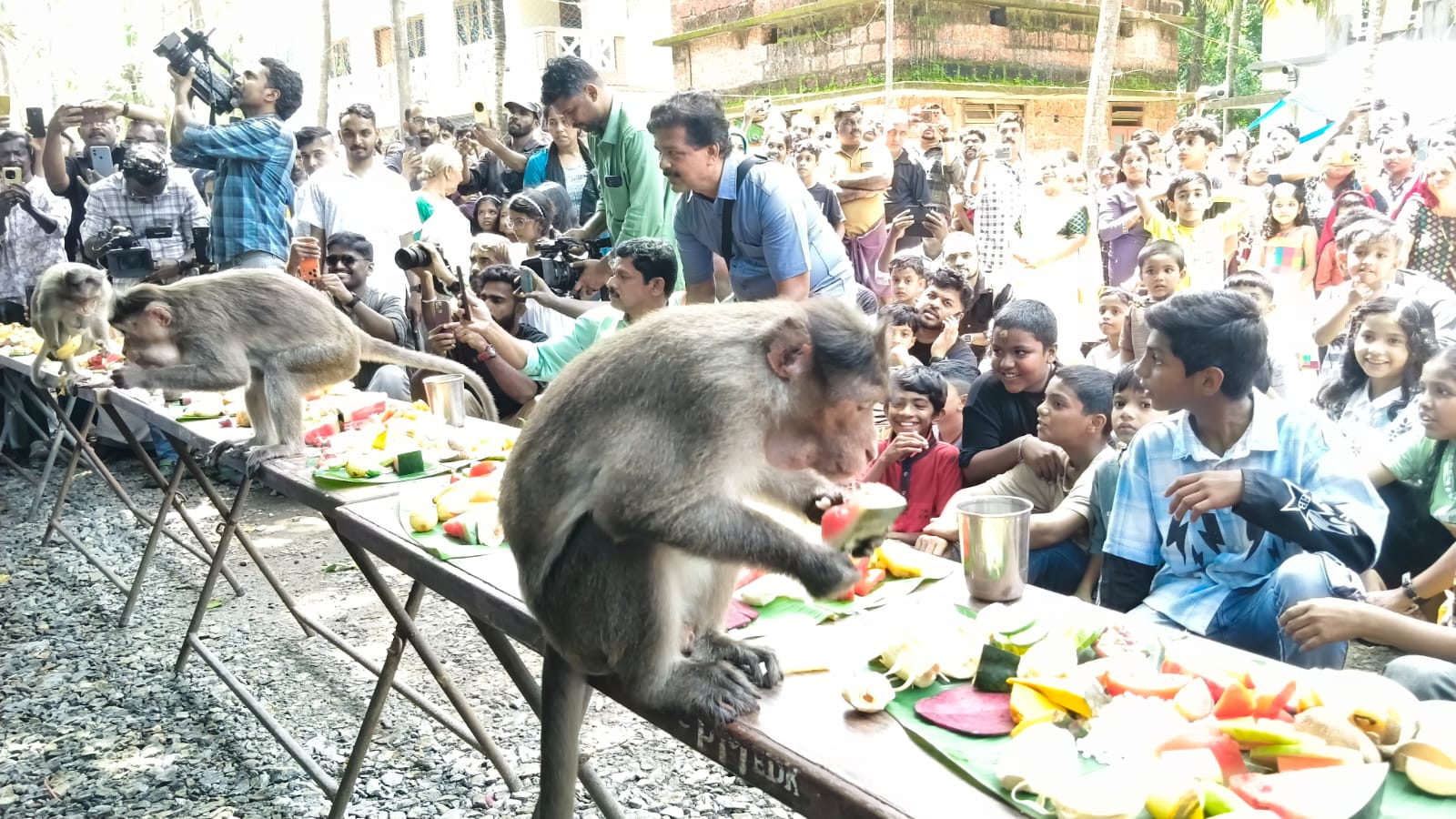 EDAYILAKKAD TEMPLE KASARAGOD  വാനര സദ്യ  ONAM FEAST OR MONKEY EDAYILAKKAD  ഇടയിലക്കാട് കാവ് വാനര സദ്യ