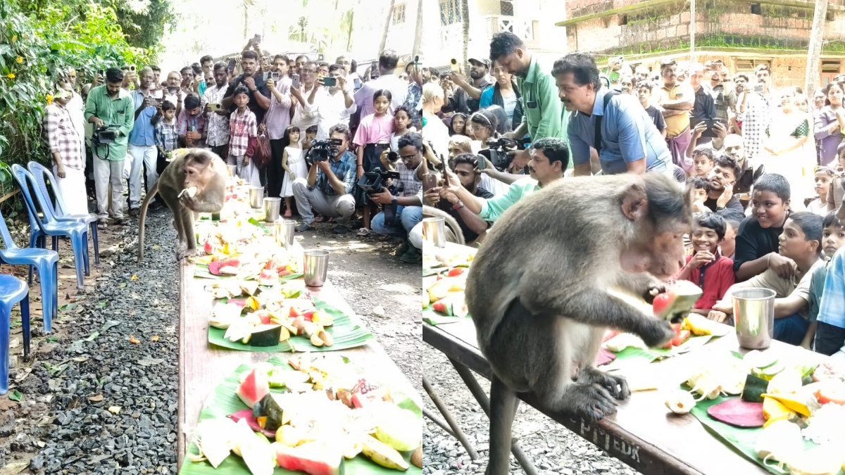 EDAYILAKKAD TEMPLE KASARAGOD  വാനര സദ്യ  ONAM FEAST OR MONKEY EDAYILAKKAD  ഇടയിലക്കാട് കാവ് വാനര സദ്യ