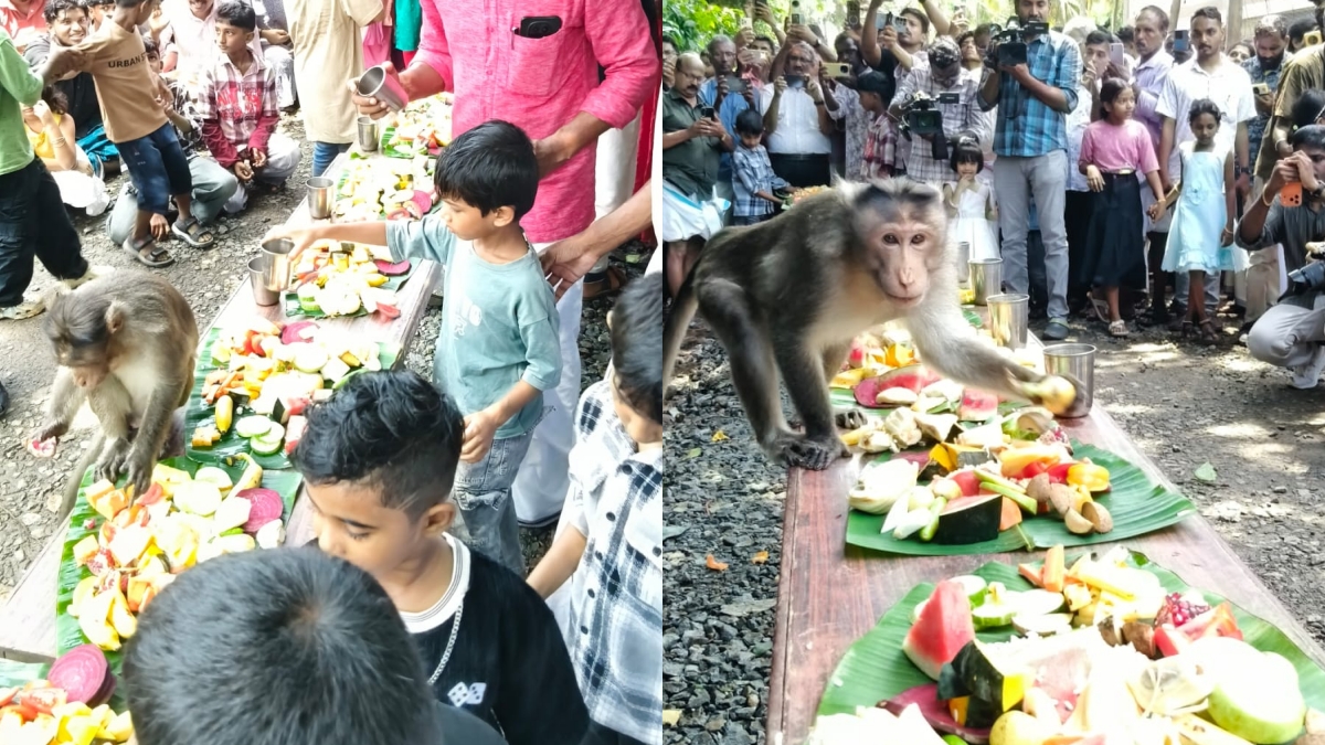 EDAYILAKKAD TEMPLE KASARAGOD  വാനര സദ്യ  ONAM FEAST OR MONKEY EDAYILAKKAD  ഇടയിലക്കാട് കാവ് വാനര സദ്യ