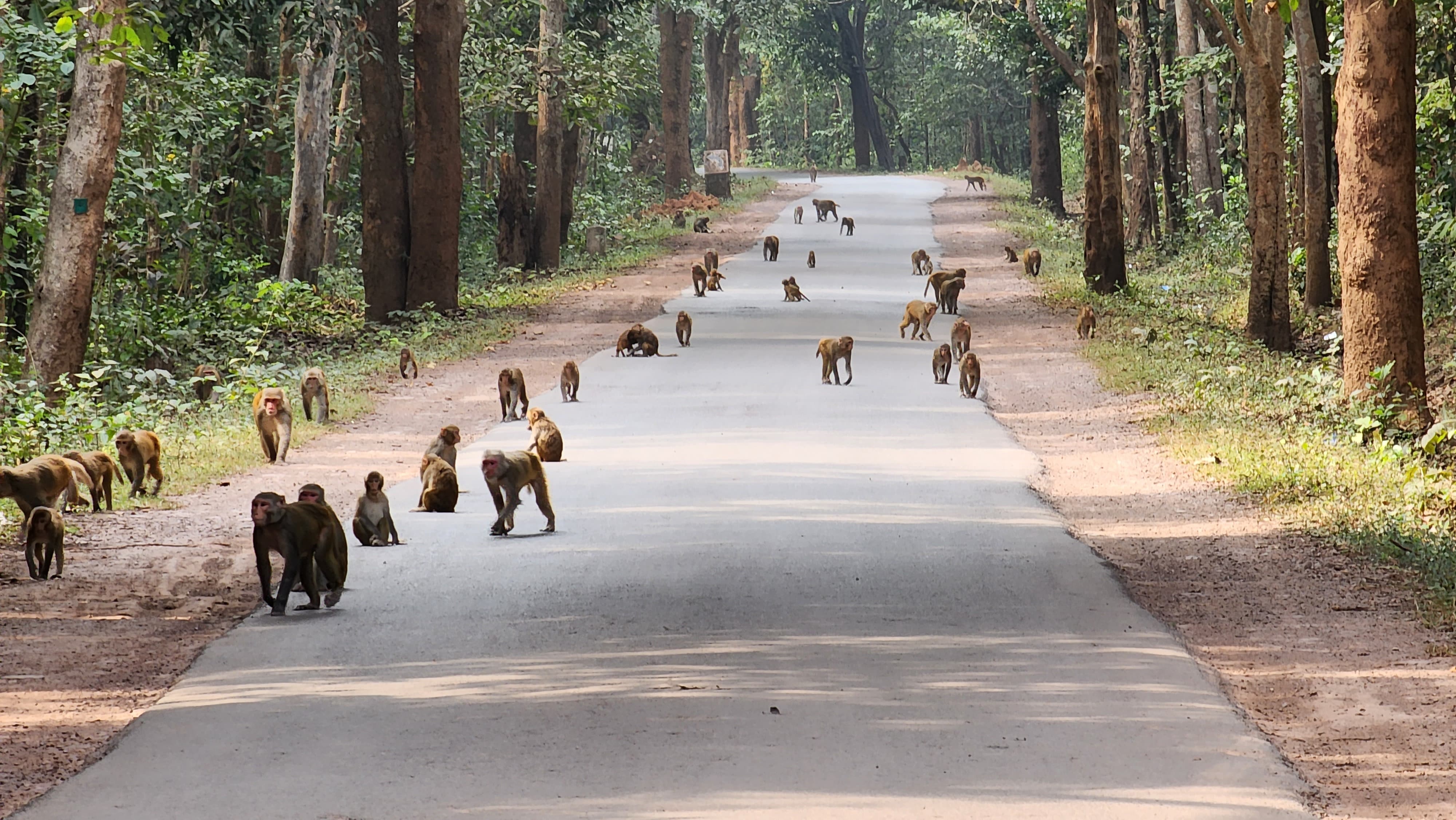 road widening approval