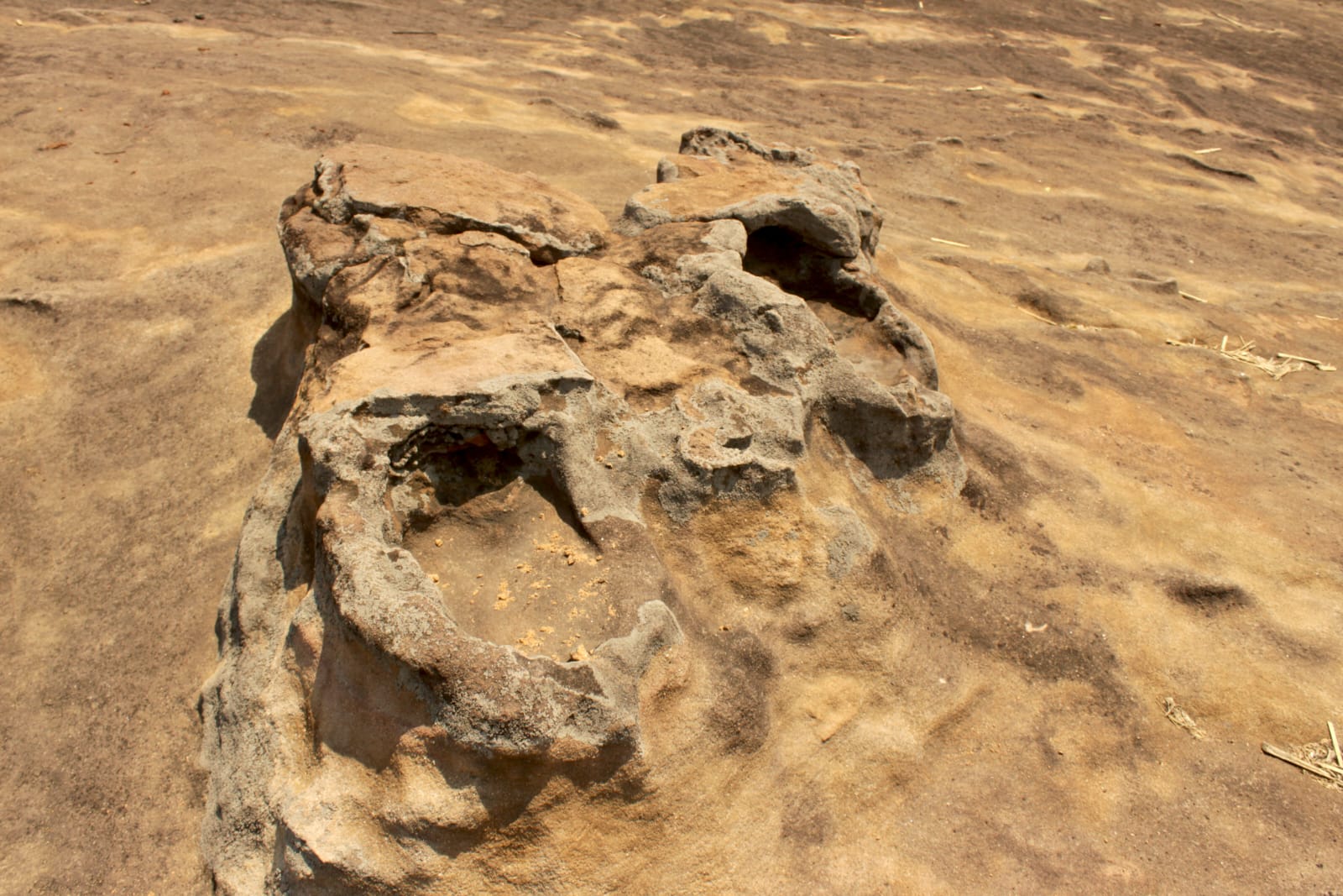 OLDEST LAND IN JHARKHAND
