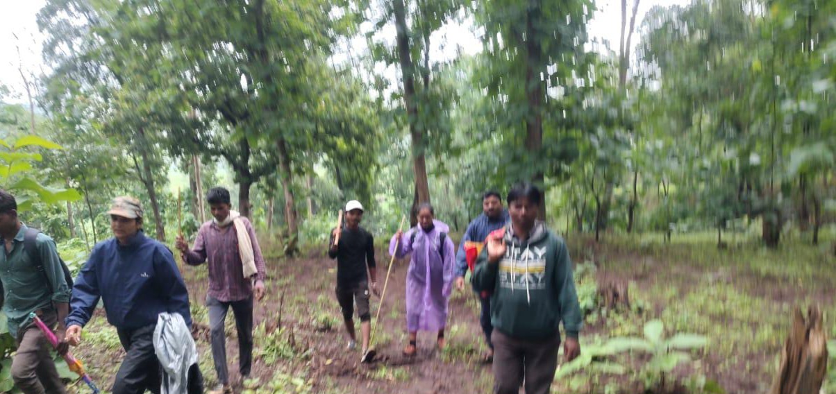 Forest workers protect the forest even in heavy rain