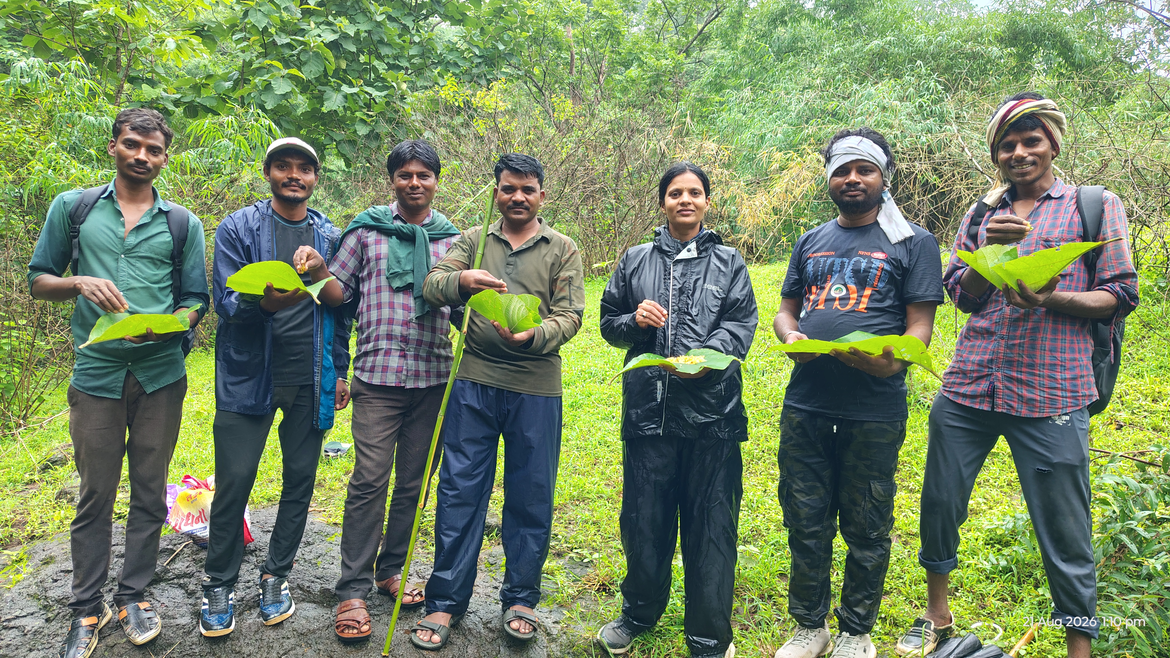 Forest workers protect the forest even in heavy rain