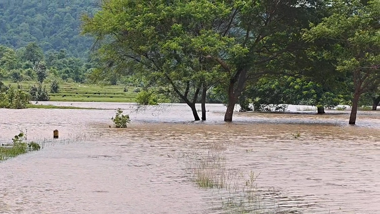 5 villages of anugul are living with floods and waterlogging three times a month