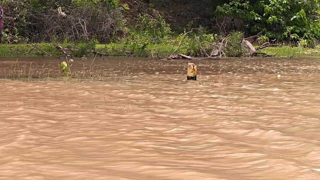5 villages of anugul are living with floods and waterlogging three times a month