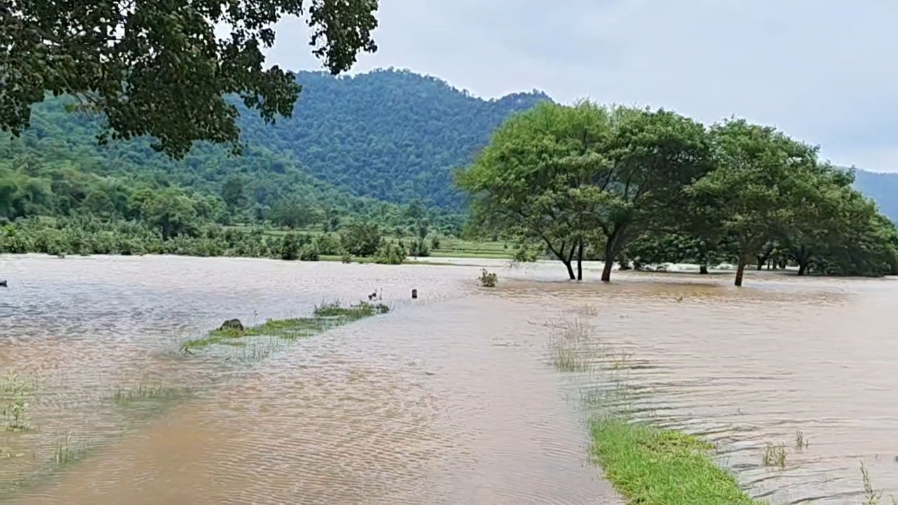 5 villages of anugul are living with floods and waterlogging three times a month