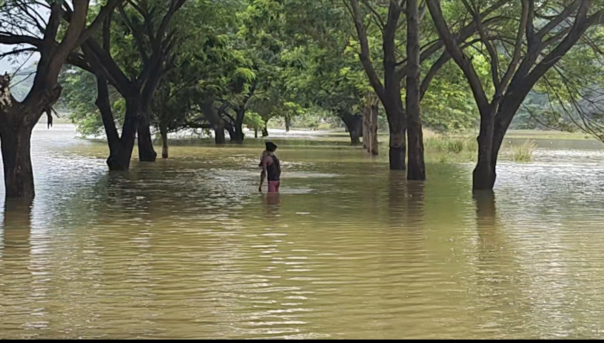 5 villages of anugul are living with floods and waterlogging three times a month
