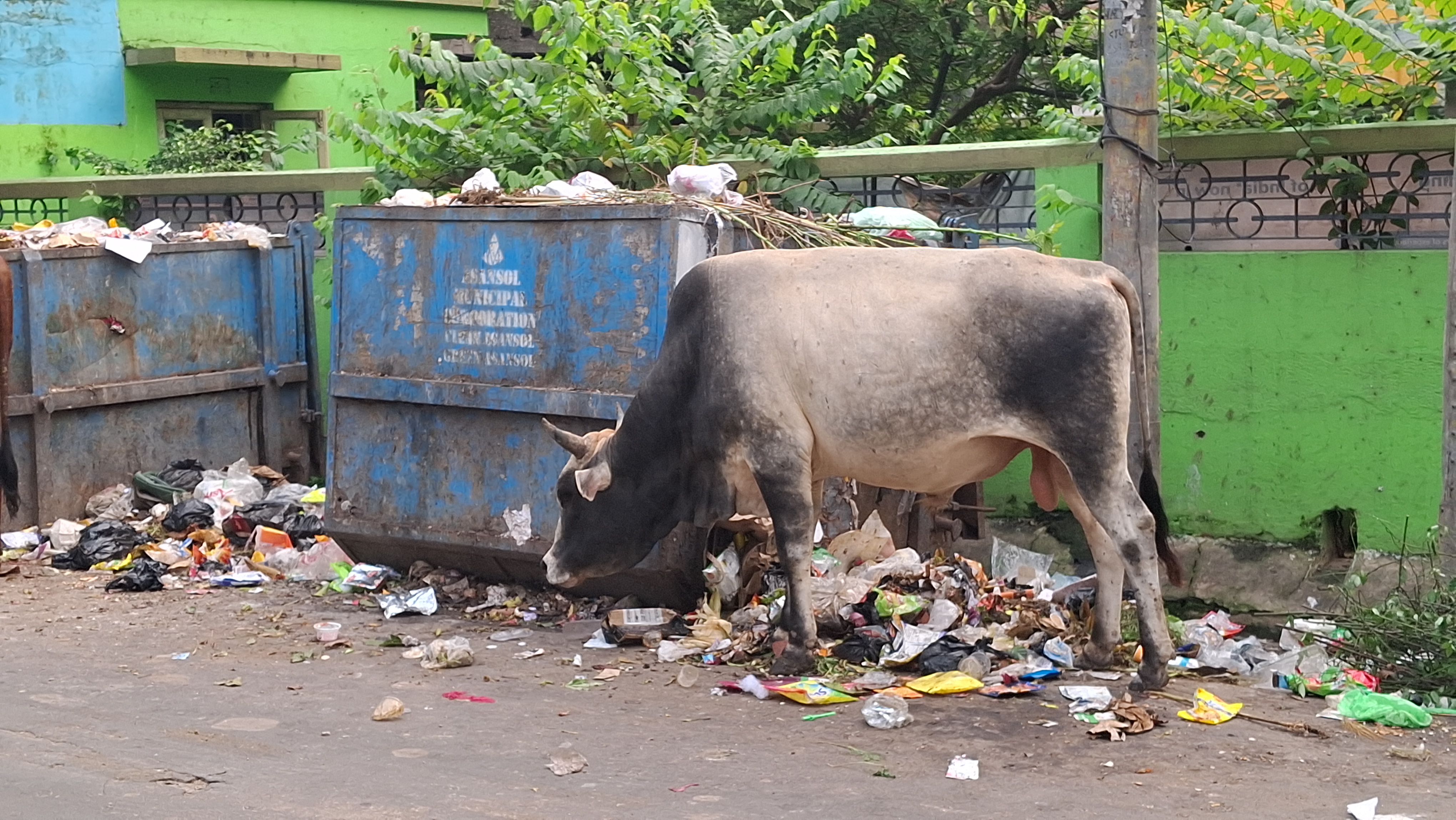 Agnimitra Paul on waste management
