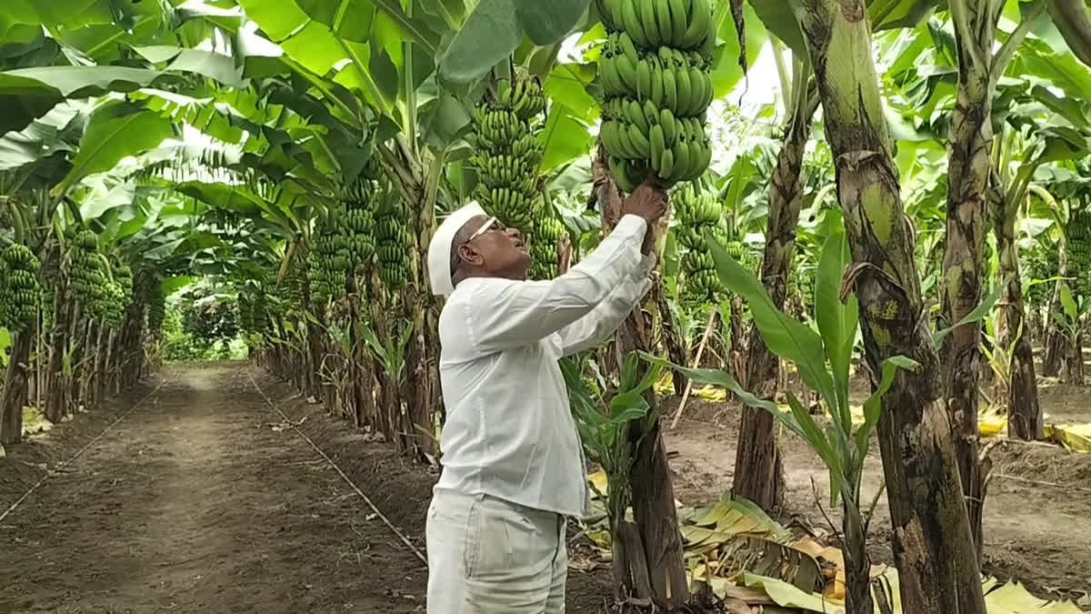 farmer success story