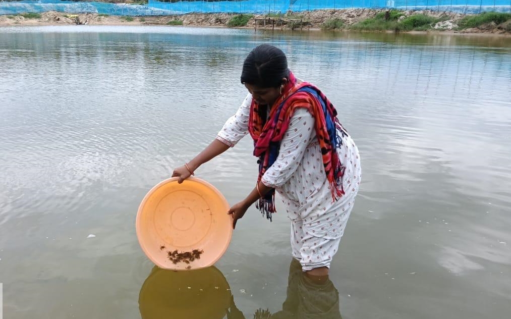 Bharati Sethy Leads Ganjam Farmers Into Mud Crab Farming