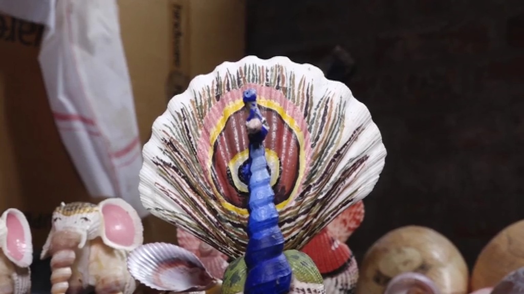 ଶଙ୍ଖ ଶାମୁକାରୁ ମୟୂର