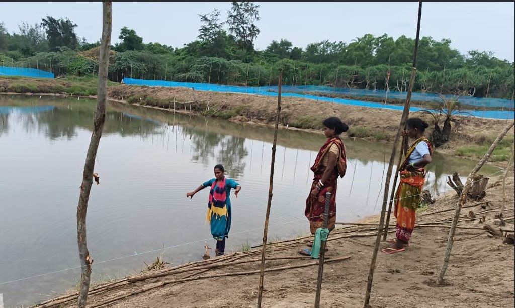Bharati Sethy Leads Ganjam Farmers Into Mud Crab Farming