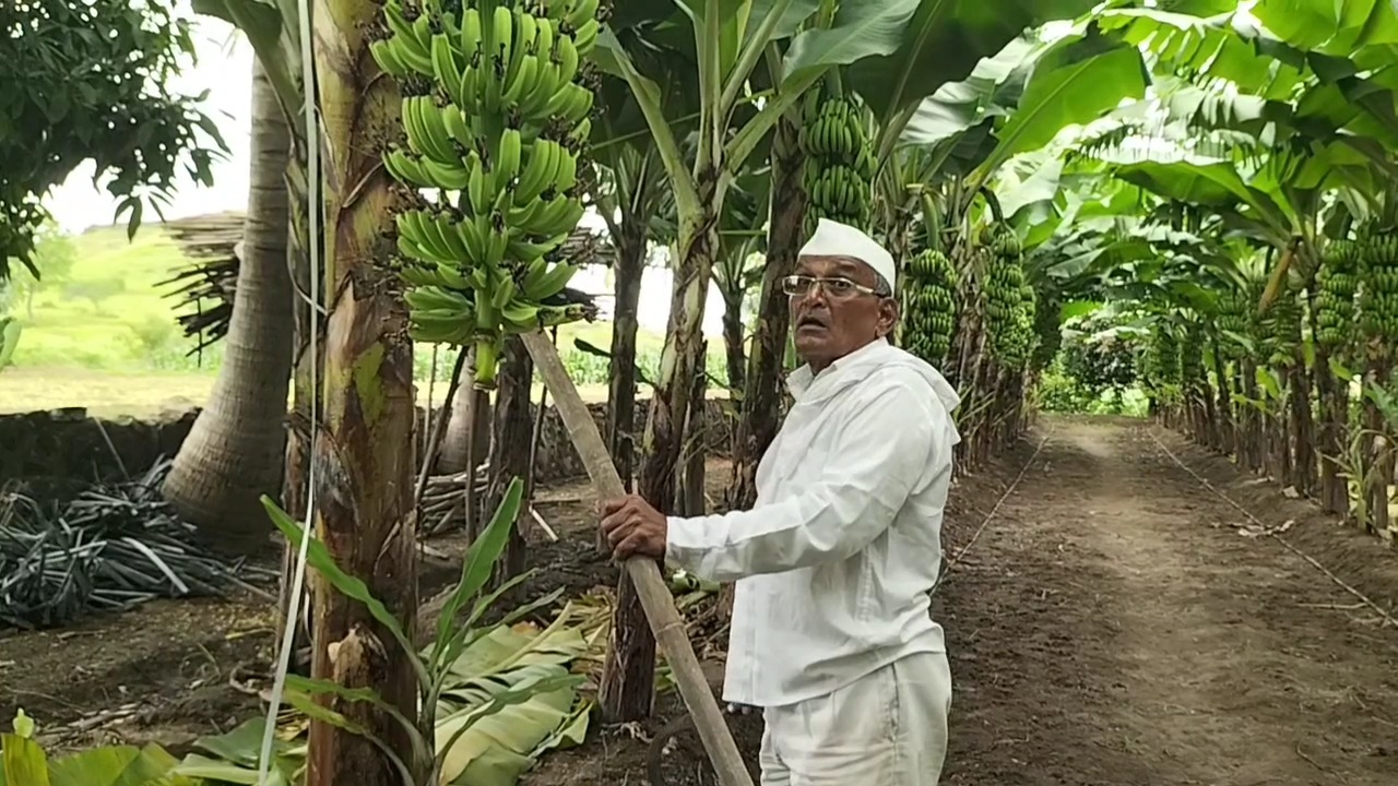 farmer success story