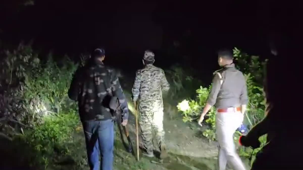 दीपावली को लेकर वन कर्मियों की छुट्टियां रद्द, वन विभाग ने तराई के जंगलों में बढ़ाई गश्त