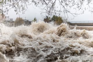 MONTHA CYCLONE EFFECT IN MP