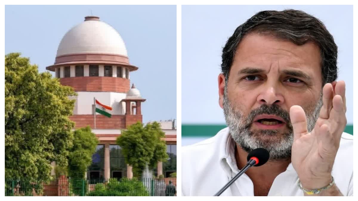 SC seeks response on plea alleging Rahul Gandhi pushed pregnant journalist during Oct 12 march