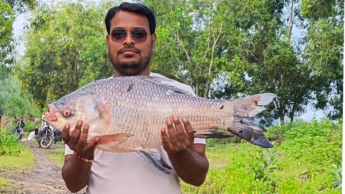 Pawan Shah's Inspiring Transition From Electrical Engineer To A Successful Fisherman Etv Bharat