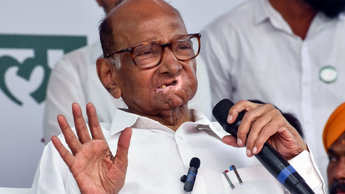 پیسے اور جوڑتوڑ کی سیاست خطرناک: شرد پوار