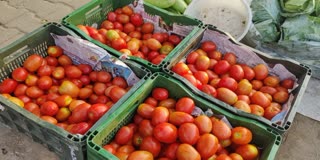 टमाटर के दामों आया उछाल