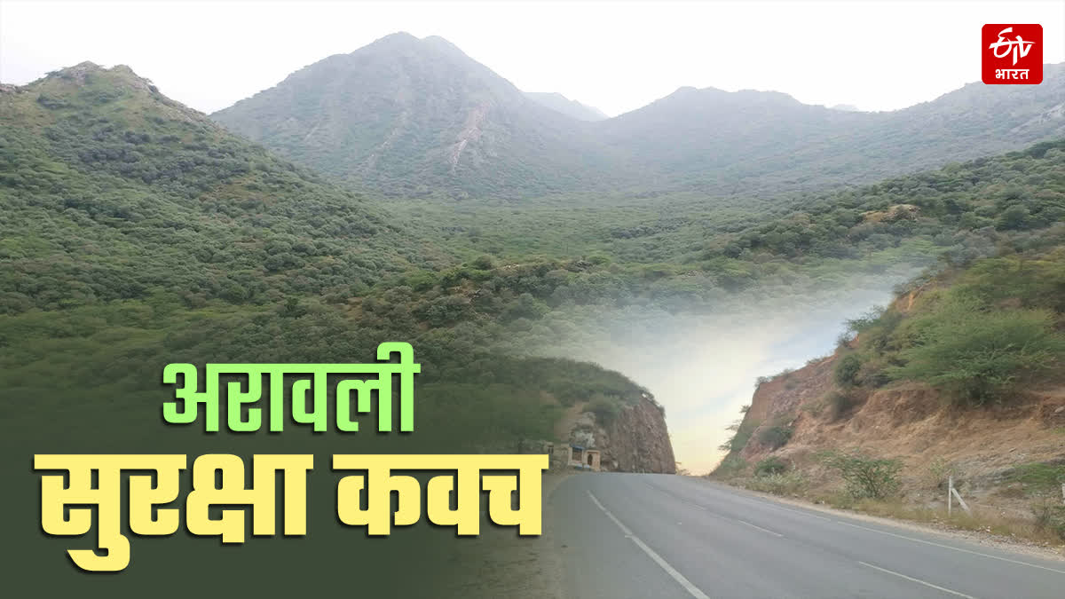 अरावली क्षेत्र जैव विविधता से भरपूर