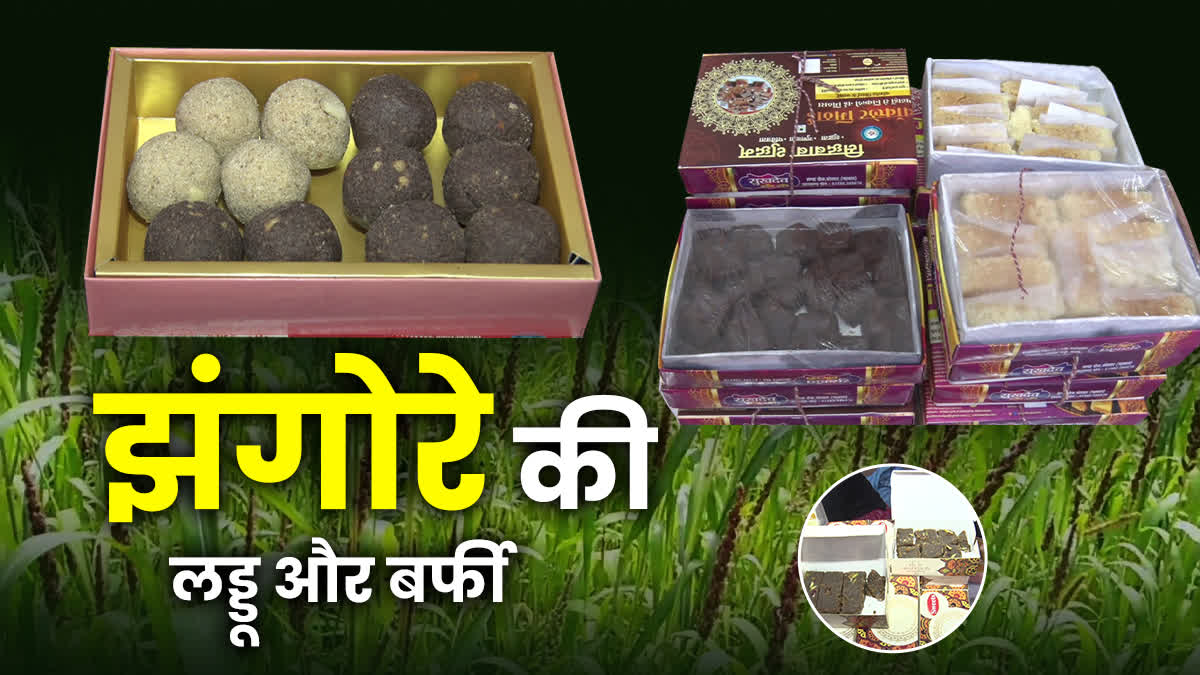 Jhangora Laddu Barfi