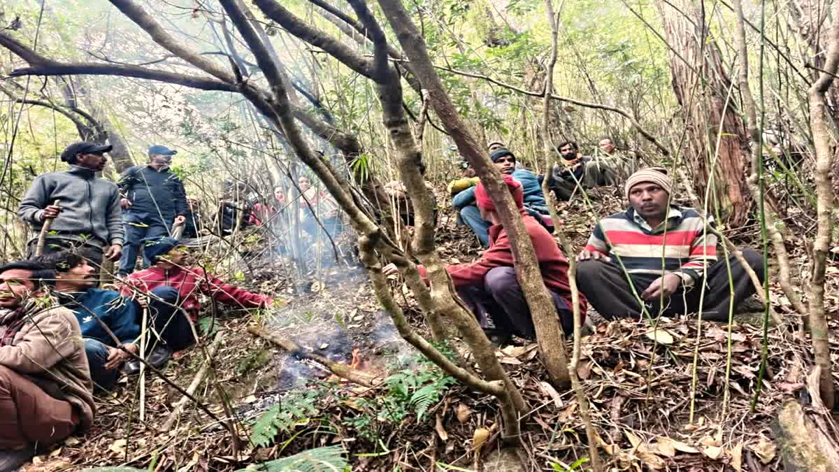 Uttarakhand Govt Provides Rs 10 Lakh Compensation To Family Of Woman Killed By Leopard In Nainital