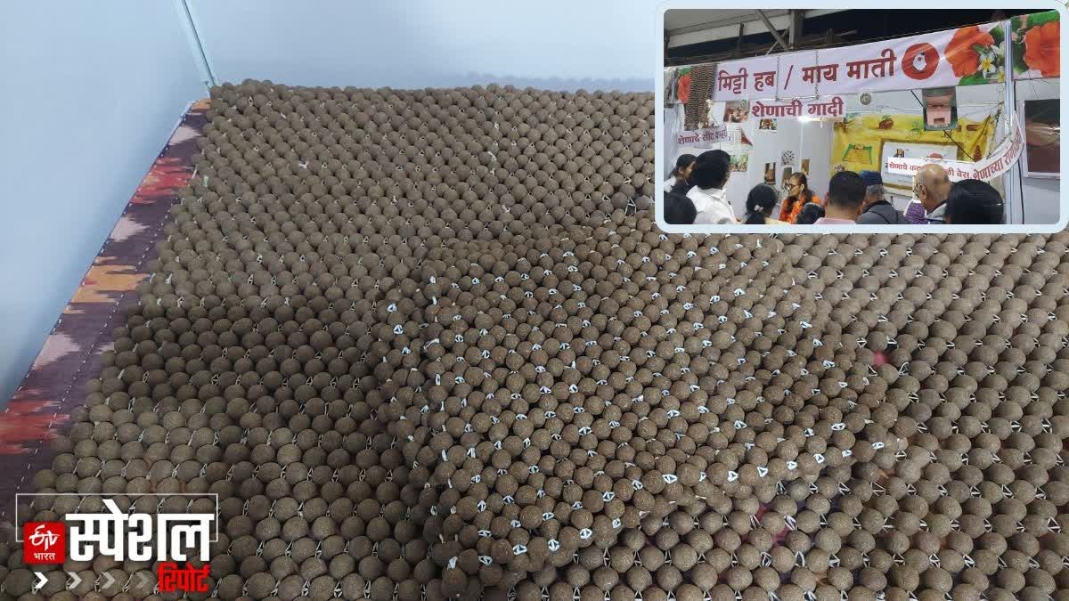 six by three inch mattress was made from the dung of an indigenous cow