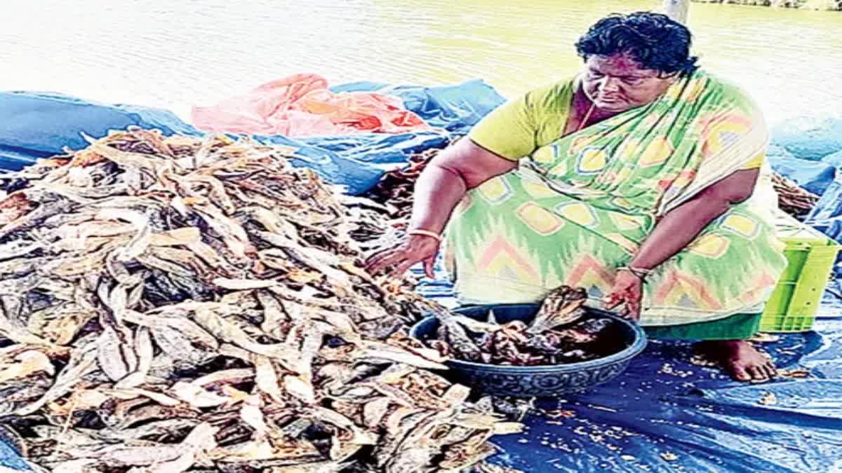 What Are The Health Benefits Of kolleru Fish