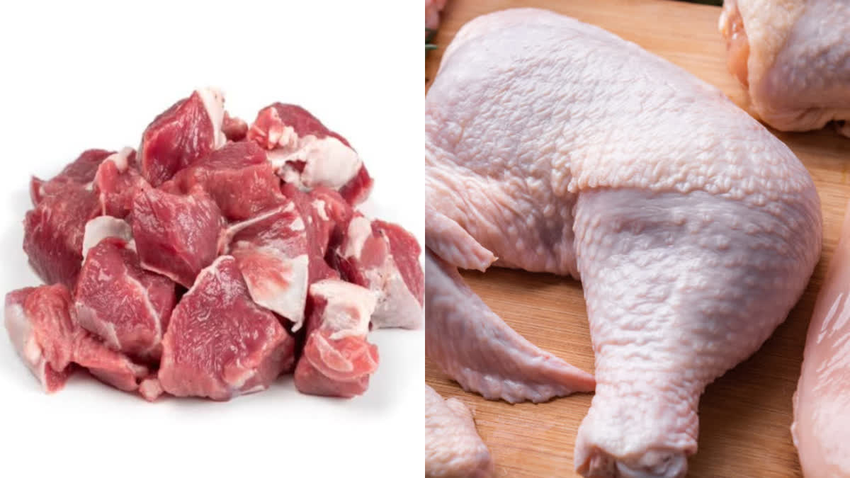 CAN DIABETES EAT MUTOON  WHICH MEAT BETTER FOR DIABETES  CAN DIABETES EAT CHICKEN