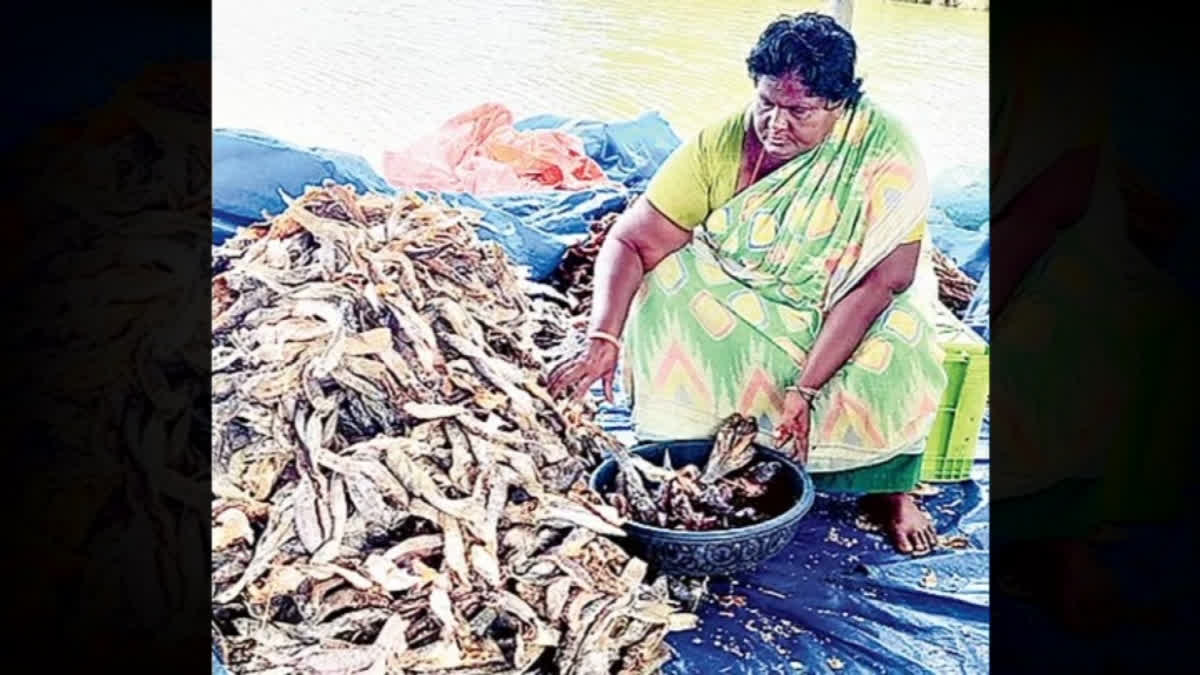 Black Dried Fish
