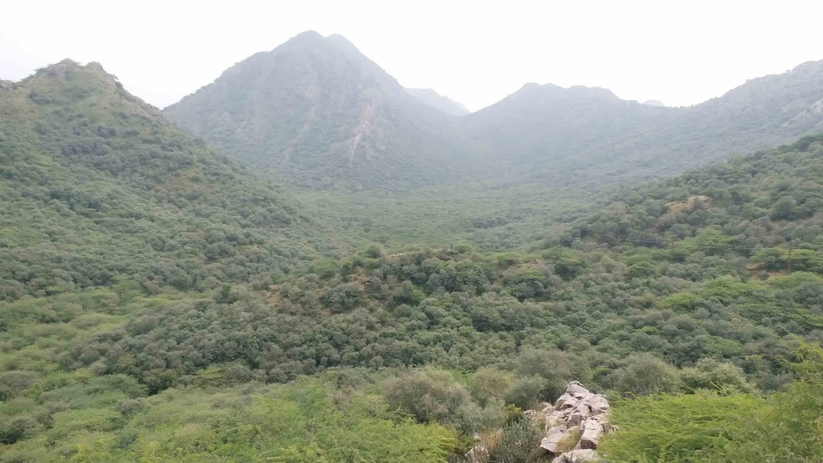 Aravalli Mountain Range Is The Essence Of Rajasthan