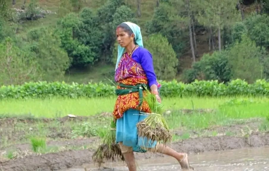 Agriculture crisis in Uttarakhand