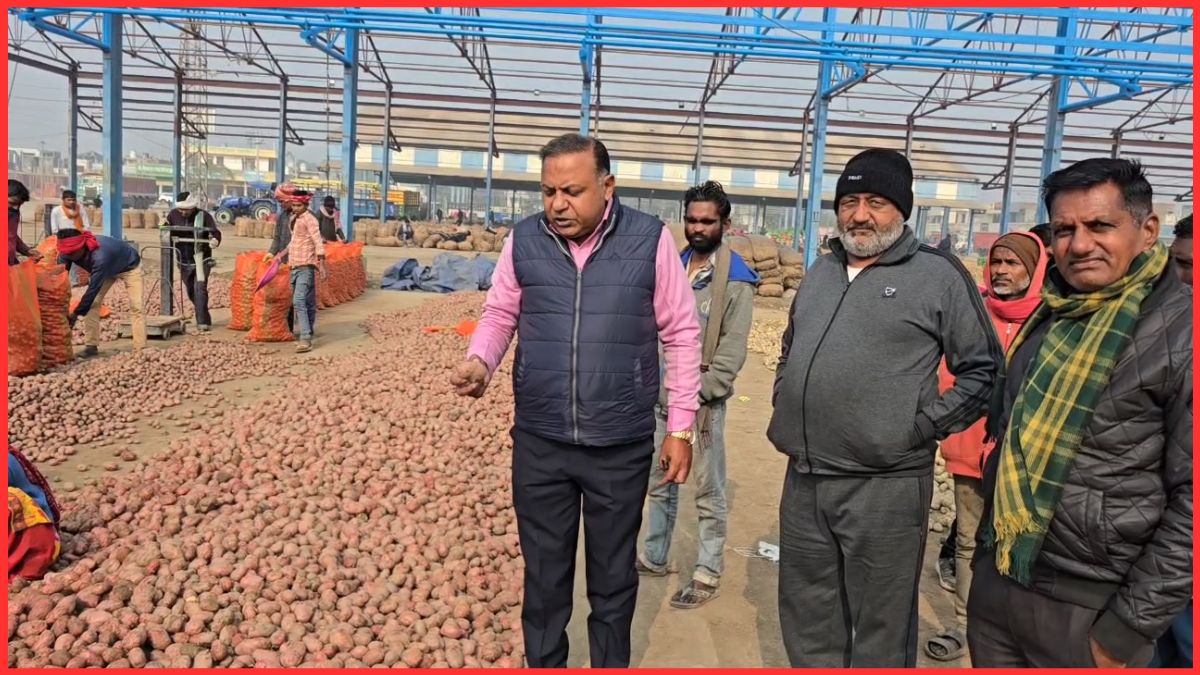 Potato Prices Crash in Haryana