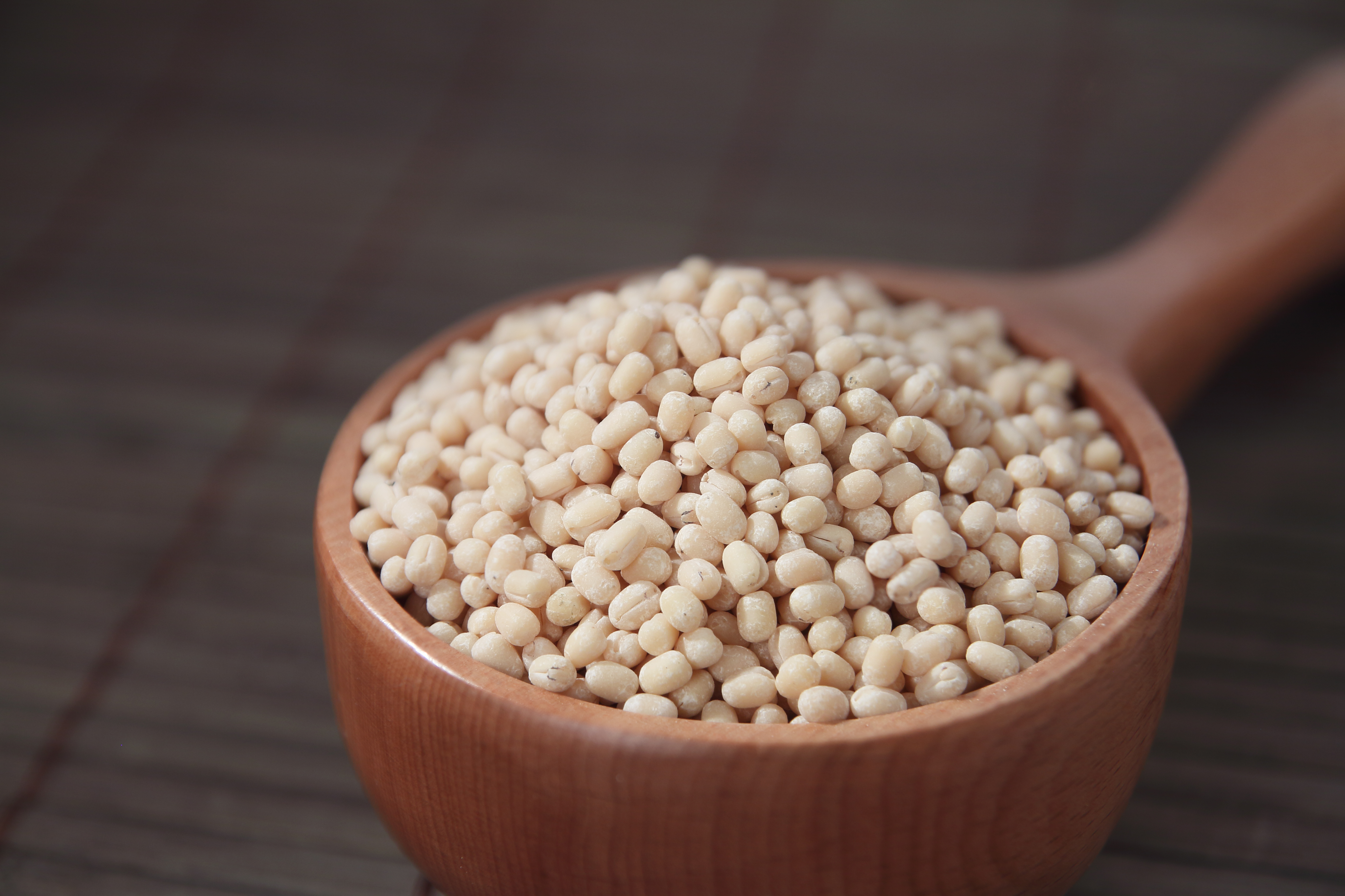 kobbari_karam_podi-recipe