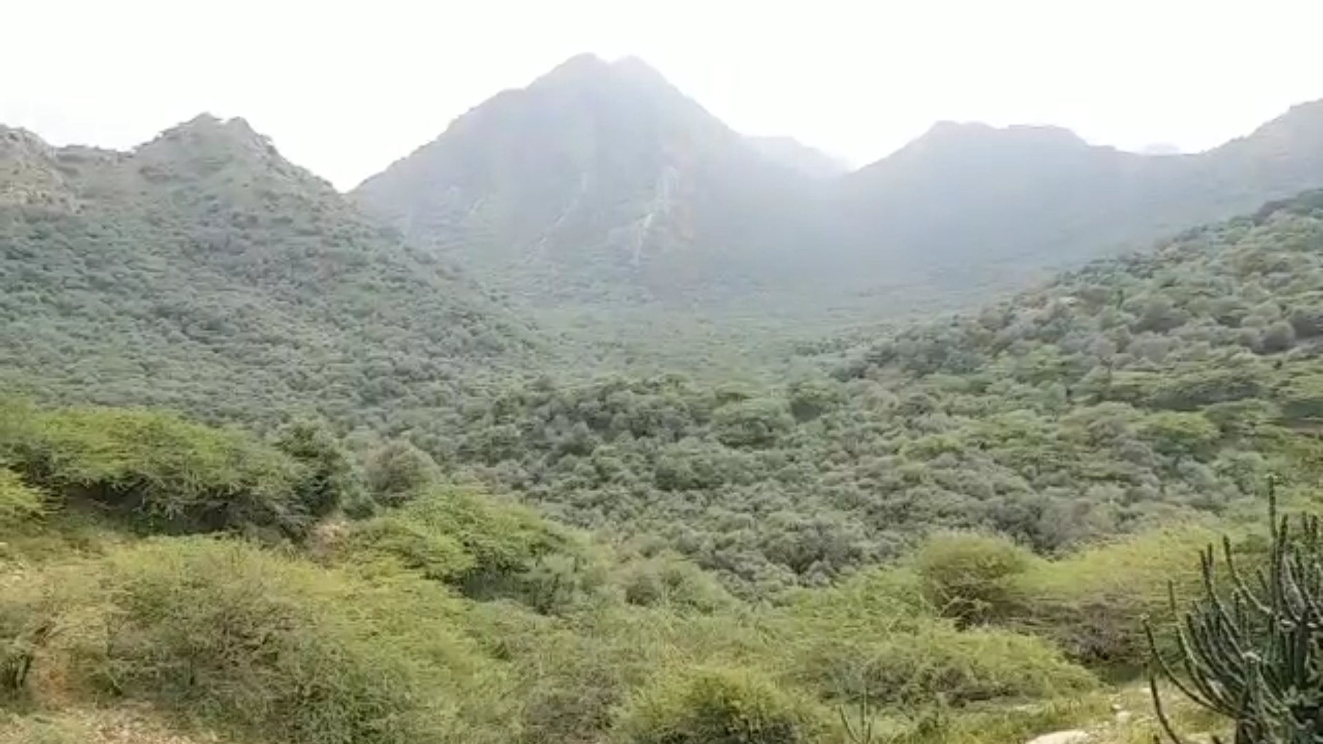 अरावली को बचाने की मुहिम